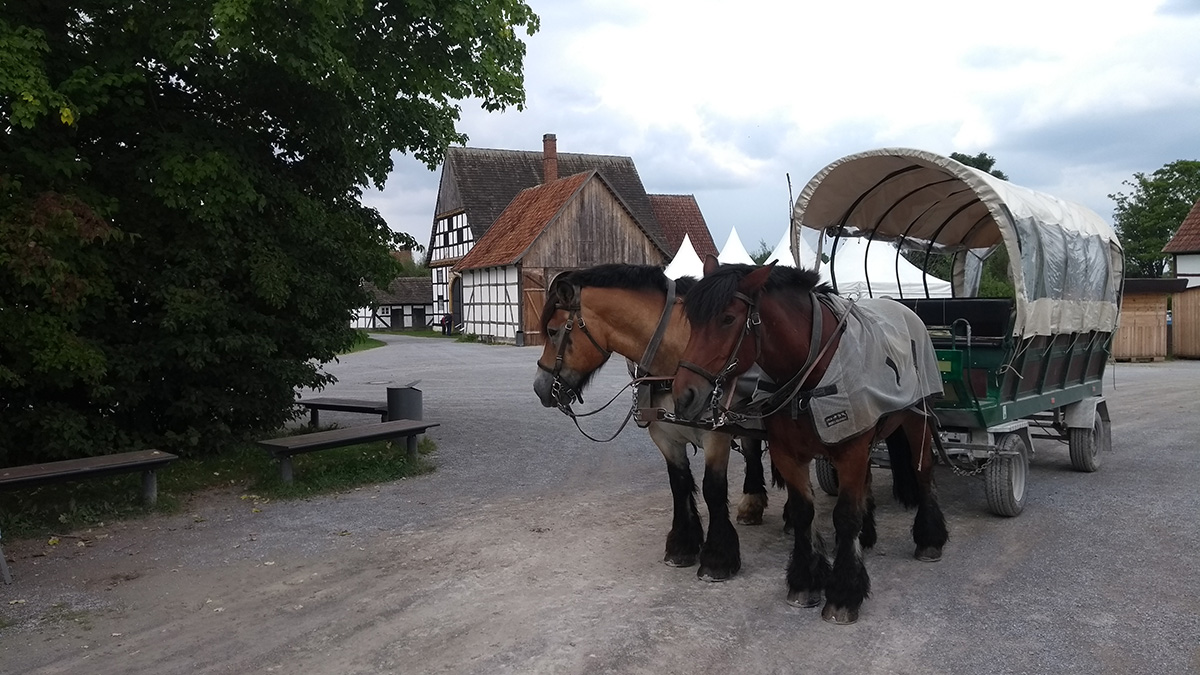 Pferdekutsche im LWL-Freilichtmuseum Detmold