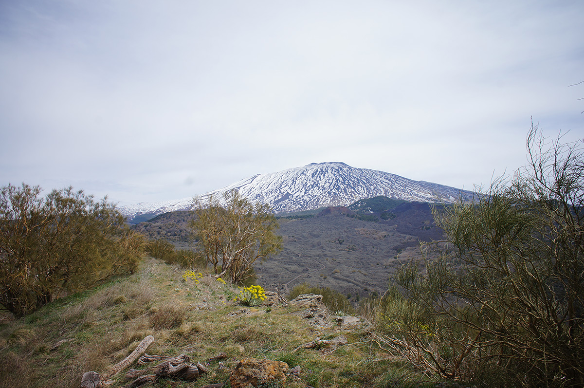 Blick auf den Gipfel des Ätna vom Monte Ruvolo