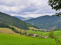 Blick nach Oberwolfach