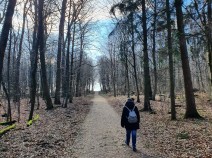 Fortsetzung der Wanderung am 27.02.2022 auf dem E1 über Oberwaldhaus bis Botanischer Garten Darmstadt
