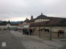 Pferde im Innenhof des Klosters Einsiedeln