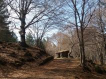 Kleine Hütte im Wald
