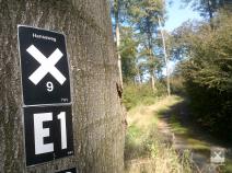 E1- und Hansaweg-Markierungen