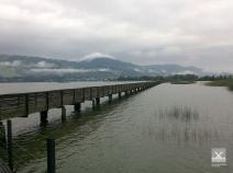 Der E1 quert den Zürichsee über den Holzsteg Rapperswil–Hurden
