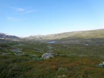 Parallel zum Weg fließt der Skájdejåhkå durch ein weites Tal