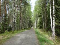 ein gut gepflegter Weg führt am Stora Härsjön entlang (sogar mit Flutlicht)