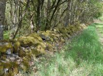 moosbewachsene Steinmauern säumen den Weg