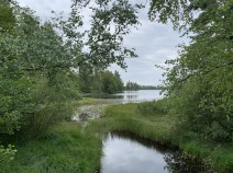am Knobeholmssjön